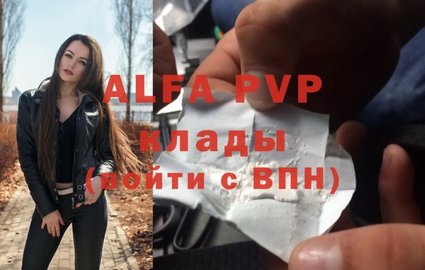 ешки Новозыбков