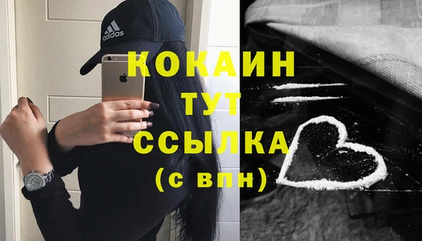 ешки Новозыбков