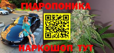 Альфа ПВП Азнакаево