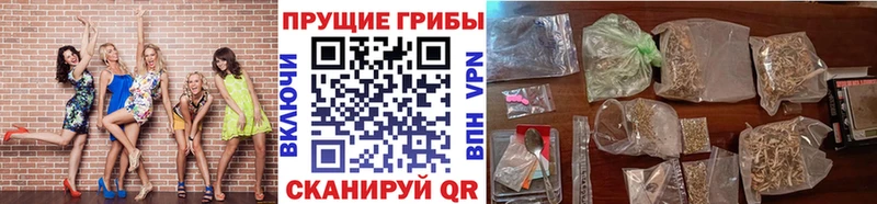 гидра ТОР  Лысьва  Галлюциногенные грибы Psilocybine cubensis 