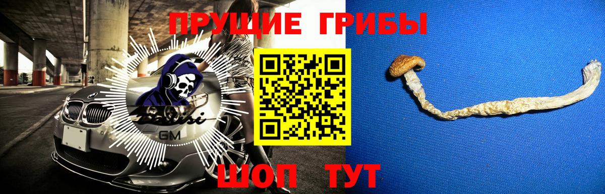 Галлюциногенные грибы MAGIC MUSHROOMS Лысьва