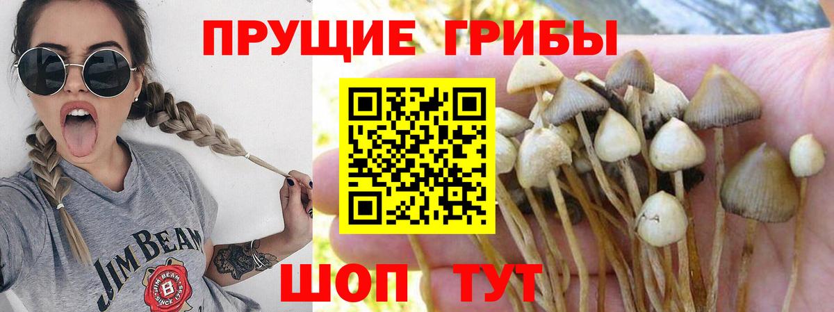 ГАШИШ Лысьва